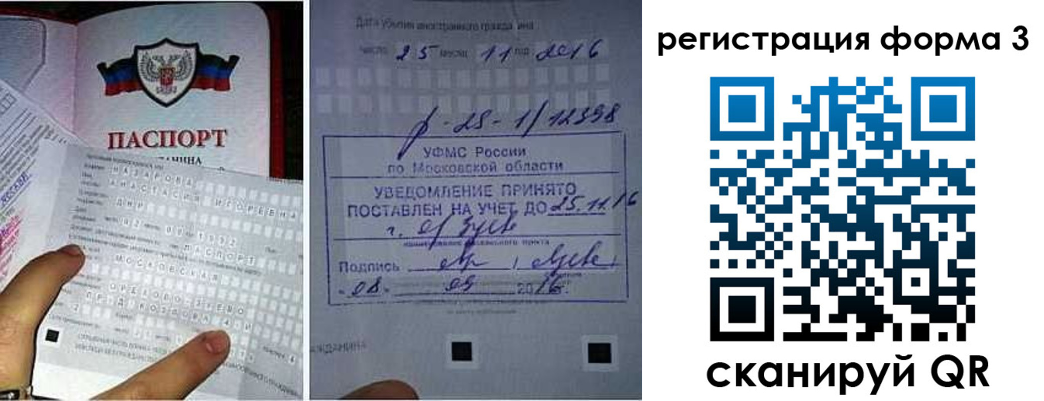 прописка в квартире в Светлограде